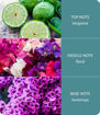 Picture of H&H FRAGRANCE DIFFUSER SWEET PEA